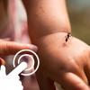 Jak Pozbyć Się Mrówek w Ogrodzie: Skuteczne Metody i Produkty