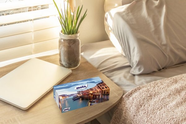 Chusteczki kosmetyczne Mola 2 warstwowe (120 sztuk)