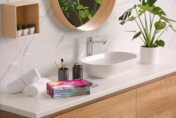 Chusteczki kosmetyczne Mola 2 warstwowe (120 sztuk)