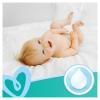 Chusteczki nawilżane Pampers Baby Fresh Clean (52 sztuki) x 12 sztuk