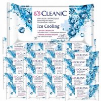 Chusteczki odświeżające Cleanic Ice Cooling (15 sztuk) x 24 sztuki