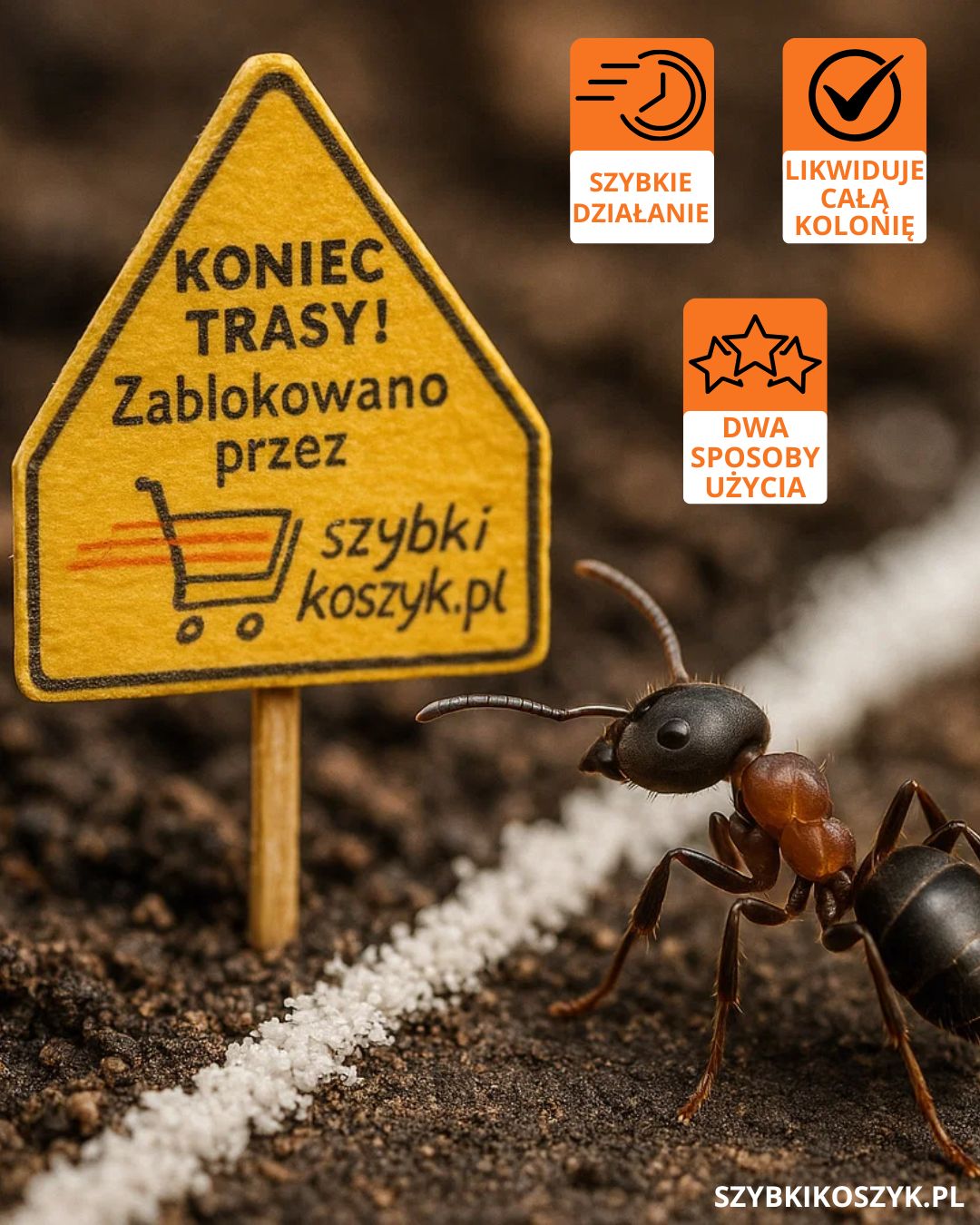 Proszek na mrówki Bros - opakowanie 3x1kg