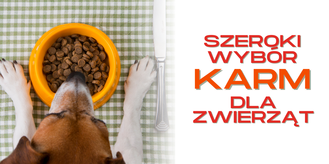 Promocja na karmy dla zwierząt domowych