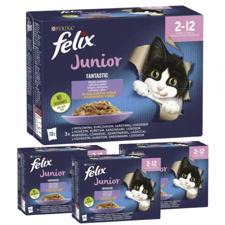 Karma dla kota Felix Fantastic Junior mix smaków w galaretce 1,02 kg (12 x 85 g) x 4 opakowania