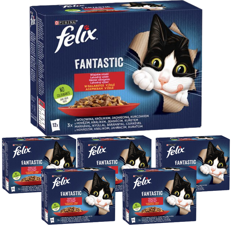 Karma dla kota Felix Fantastic wiejskie smaki w galaretce 1,02 kg (12 x 85 g) x 6 opakowań