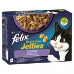 Karma dla kota Felix Sensations Jellies mix smaków w galaretce 1,02 kg (12 x 85 g) x 6 opakowań