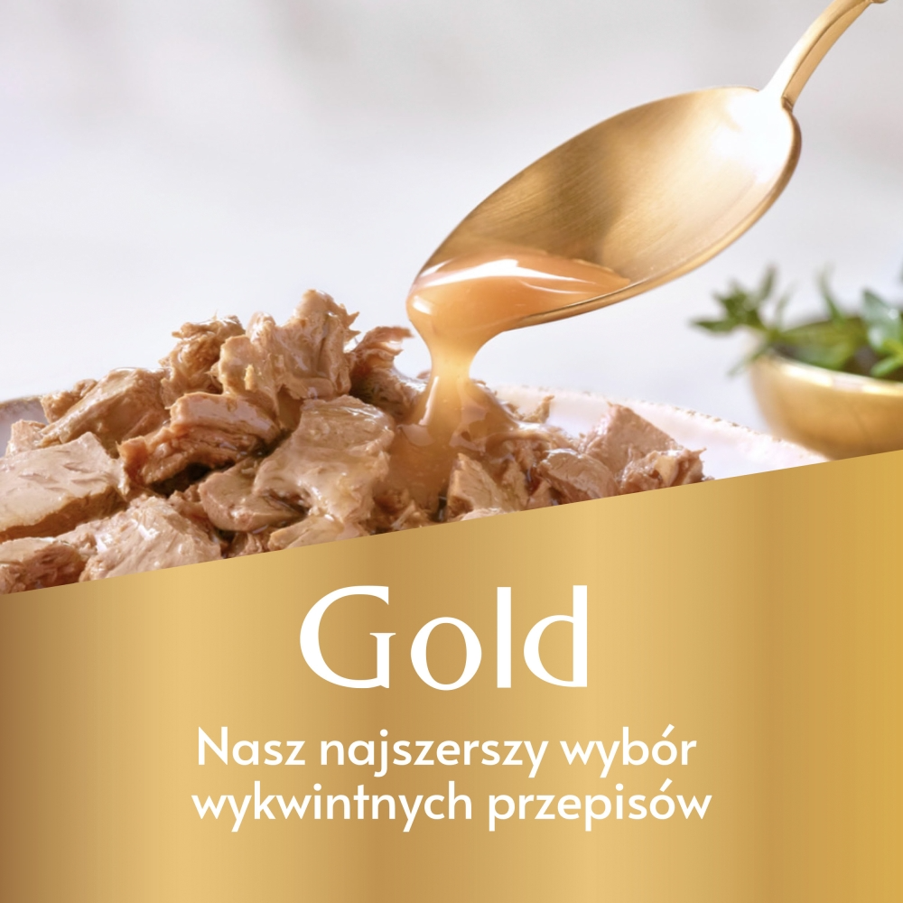 Karma dla kota Gourmet Gold łosoś i kurczak w sosie z pomidorami 85 g (12 sztuk)