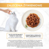 Karma dla kota Gourmet Gold łosoś i kurczak w sosie z pomidorami 85 g (12 sztuk)