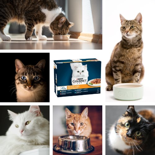 Karma dla kota Gourmet Perle mini fileciki w sosie 1020 g (12 x 85 g) + Karma dla kota Purina Gourmet Perle mini fileciki w sosie 1020 g (12 x 85 g)