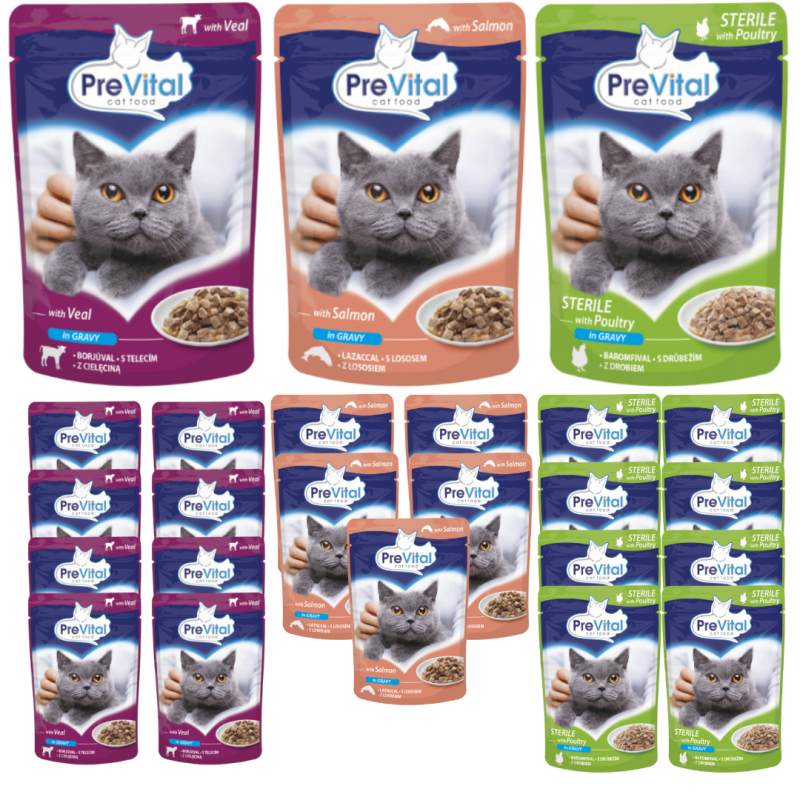 Karma dla kota PreVital mix smaków 100 g (24 sztuki)