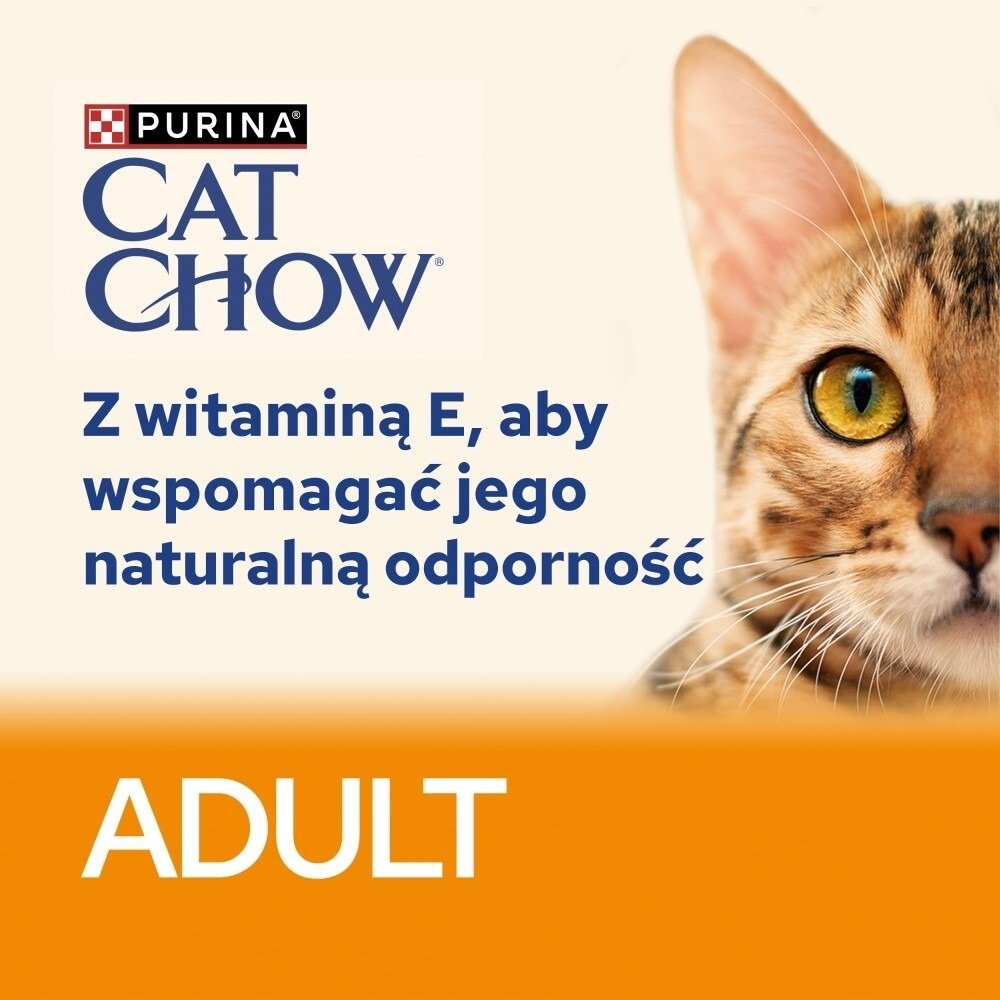 Karma dla kota Purina Cat Chow Adult dorosłych z wołowiną i bakłażanem w galaretce 85 g (26 sztuk)