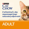 Karma dla kota Purina Cat Chow Adult dorosłych z wołowiną i bakłażanem w galaretce 85 g (26 sztuk)