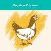 Karma dla kota Purina Cat Chow Hairball Control bogata w Kurczaka 16,5 kg