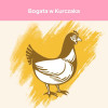 Karma dla kota Purina Cat Chow Kitten bogata w Kurczaka 16,5 kg