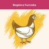 Karma dla kota Purina Cat Chow Urinary Tract Health bogata w Kurczaka 16,5 kg
