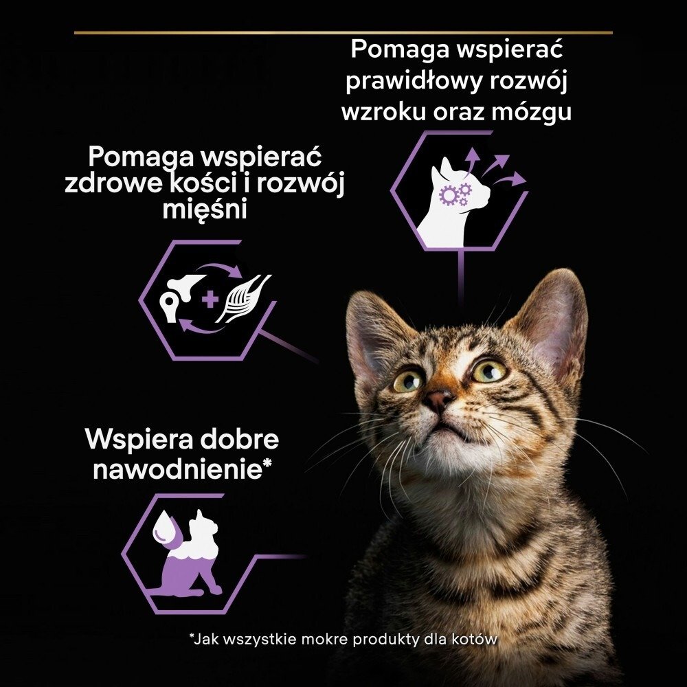 Karma dla kota Purina Pro Plan Kitten Health Start z indykiem w sosie 85 g (24 sztuki)
