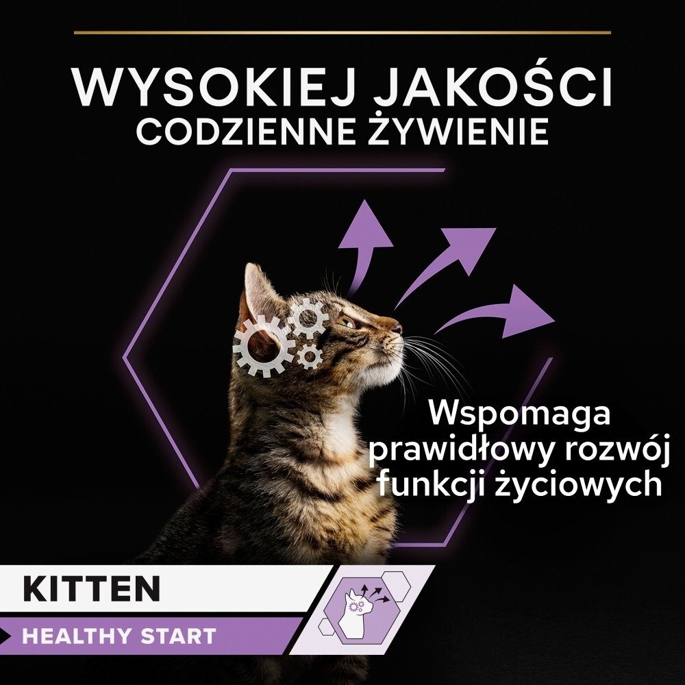 Karma dla kota Purina Pro Plan Kitten Health Start z indykiem w sosie 85 g (24 sztuki)
