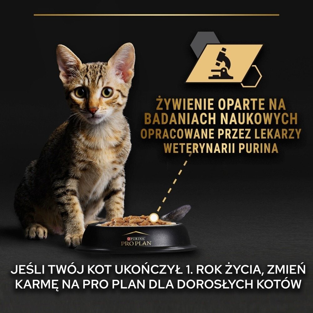 Karma dla kota Purina Pro Plan Kitten Health Start z indykiem w sosie 85 g (24 sztuki)