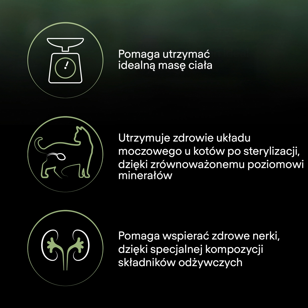 Karma dla kota Purina Pro Plan LiveClear po zabiegu sterylizacji bogata w indyka 1,4 kg