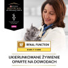 Karma dla kota Purina Pro Plan Veterinary Diets NF Renal Function 85 g (10 sztuk)
