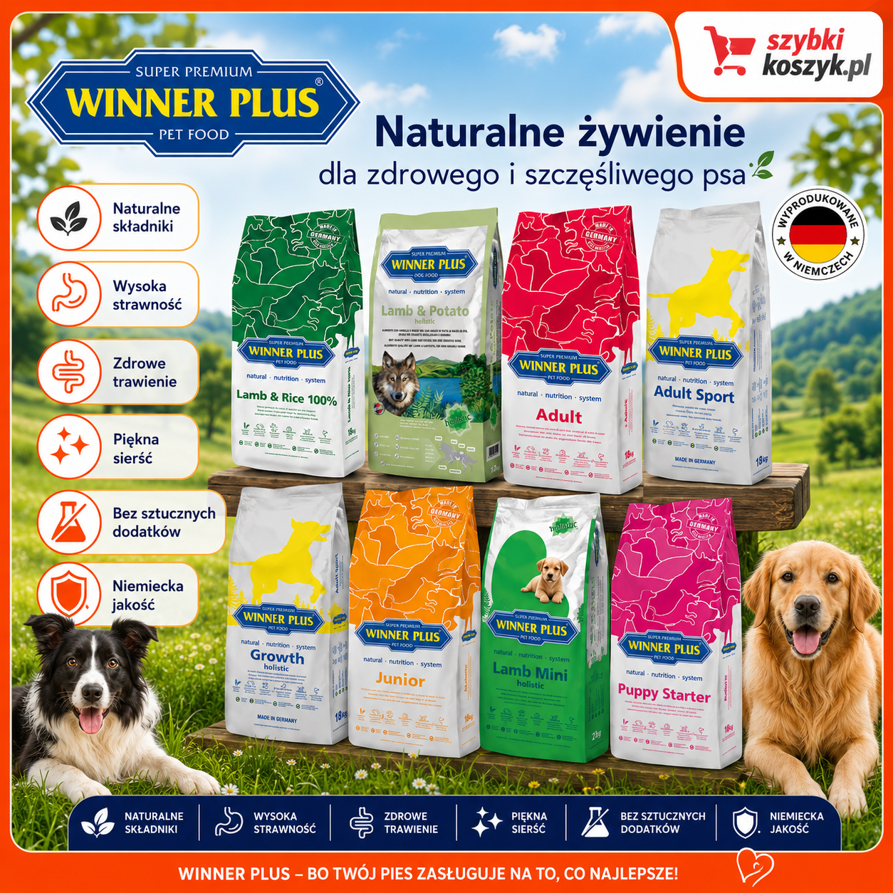Karma dla małych psów Winner Plus Holistic Lamb Mini 2 kg
