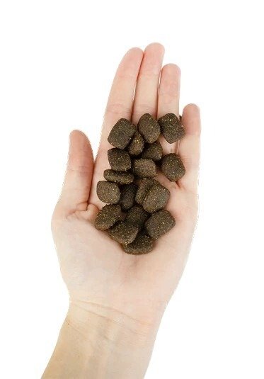 Karma dla psa Lenda z jagnięciną 12 kg