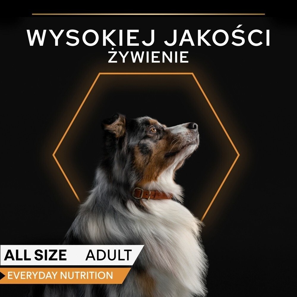 Karma dla psa Pro Plan Everyday Nutrition All Size Adult bogata w indyka w galaretce 400 g