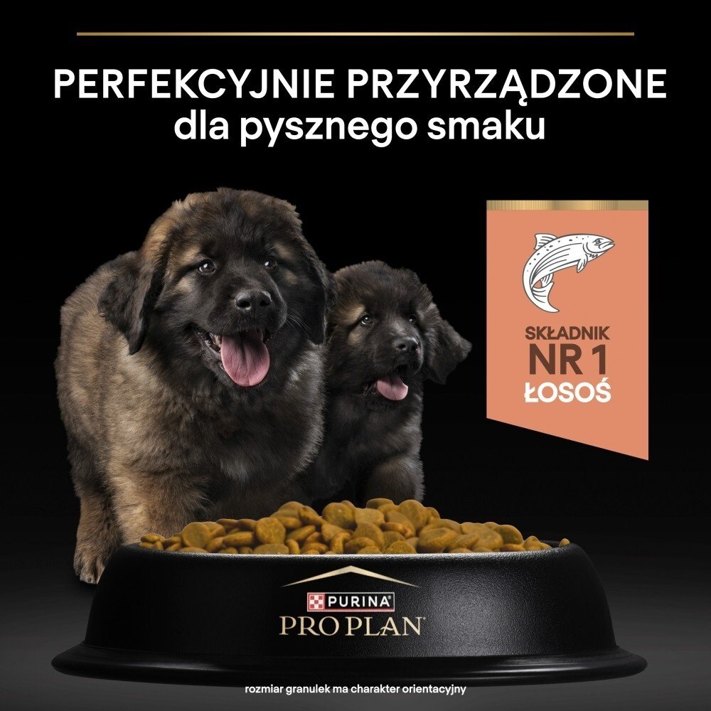 Karma dla psa Purian Pro Plan Sensitive Skin Puppy bogata w łososia 12 kg