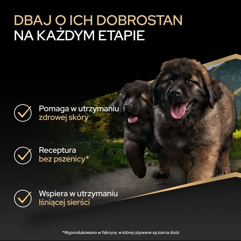 Karma dla psa Purian Pro Plan Sensitive Skin Puppy bogata w łososia 12 kg