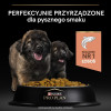 Karma dla psa Purian Pro Plan Sensitive Skin Puppy bogata w łososia 12 kg