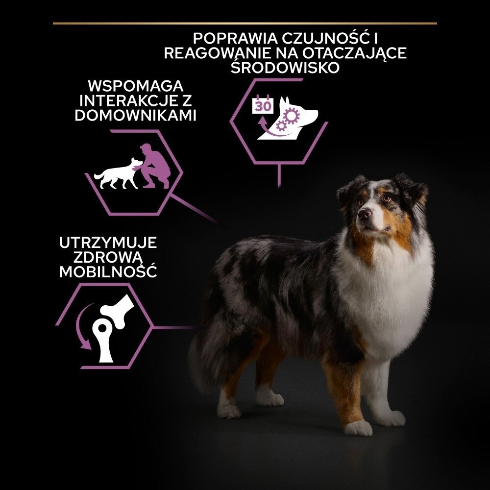 Karma dla psa Purina Pro Plan Age Defence Adult bogata w kurczaka 14 kg