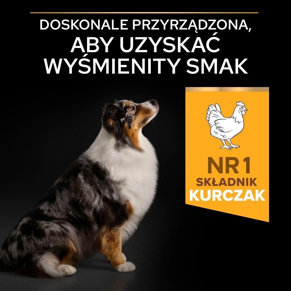 Karma dla psa Purina Pro Plan Age Defence Adult bogata w kurczaka 14 kg