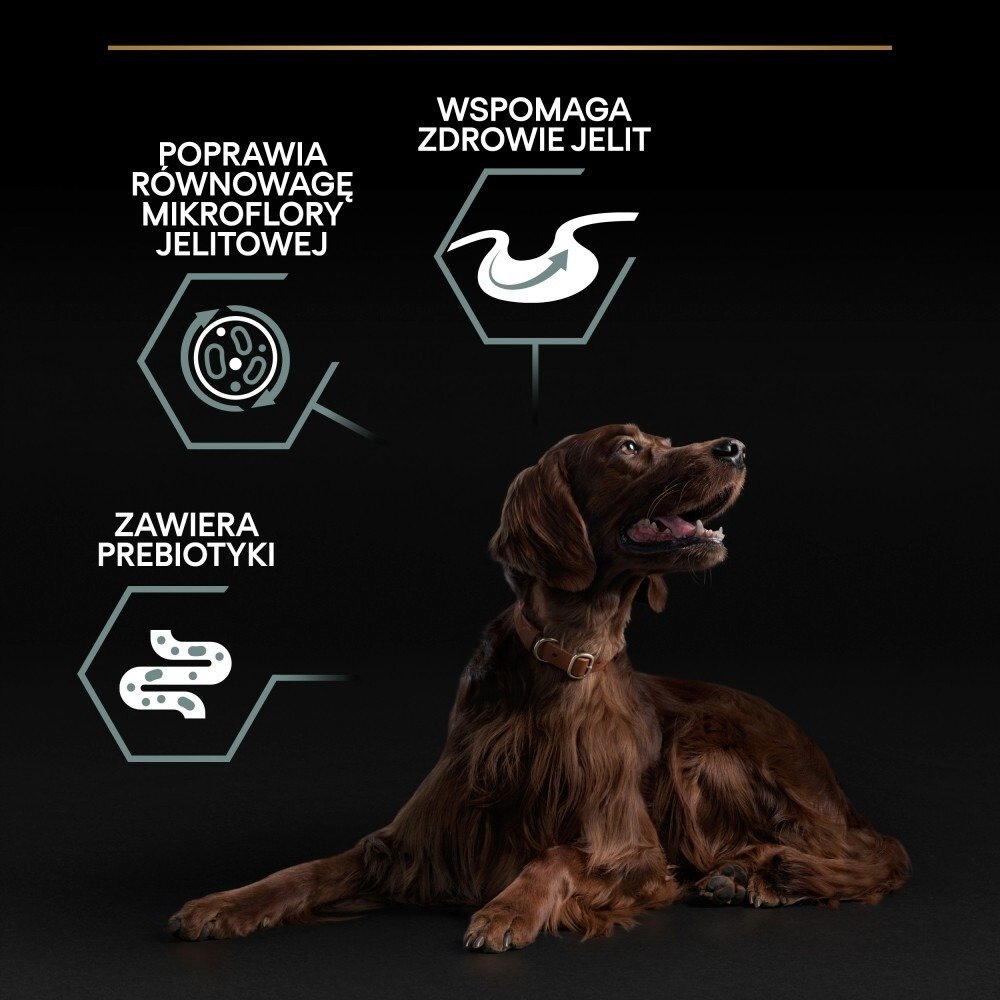 Karma dla psa Purina Pro Plan Sensitive Digestion Large Athletic Adult bogata w jagnięcinę 14 kg