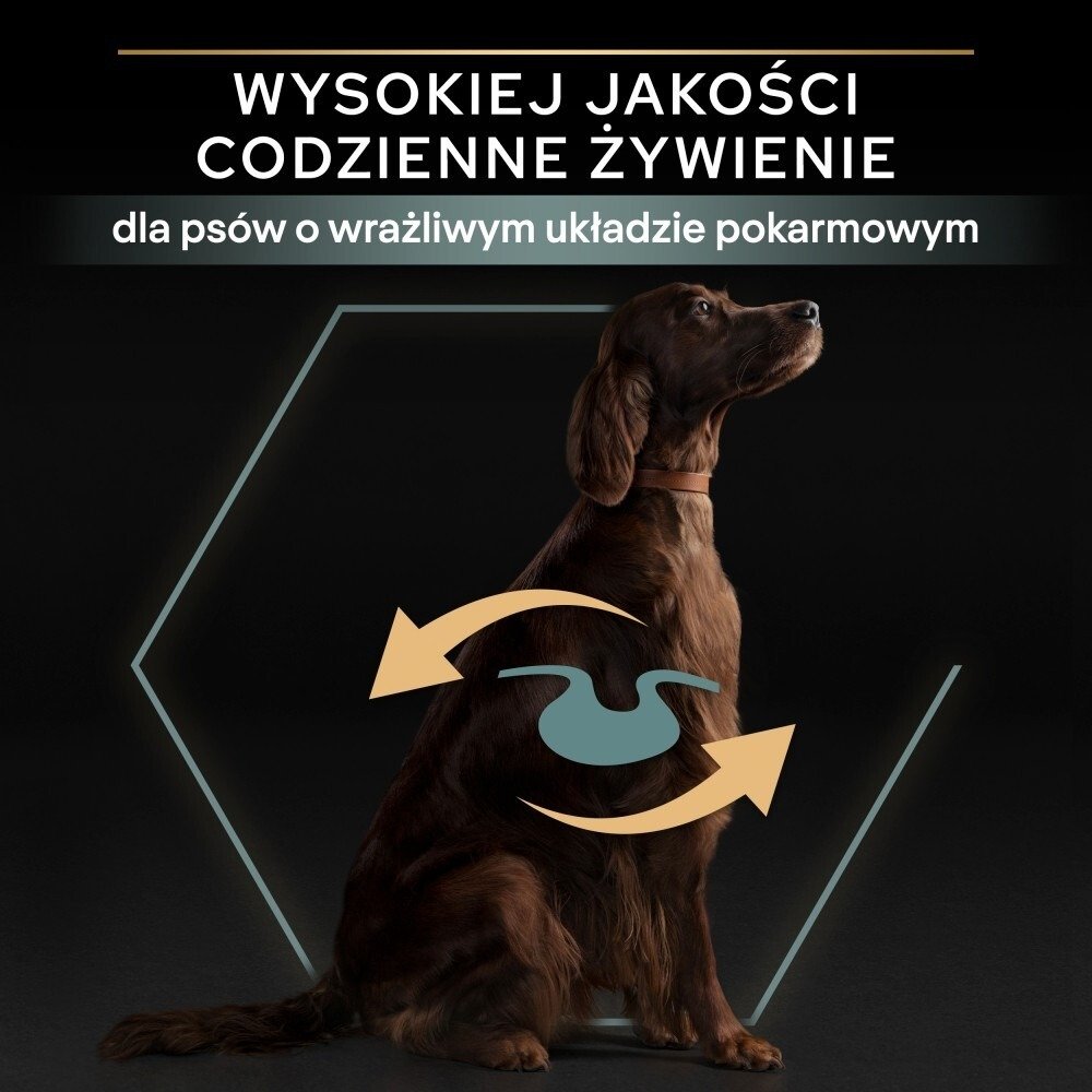 Karma dla psa Purina Pro Plan Sensitive Digestion Large Athletic Adult bogata w jagnięcinę 14 kg