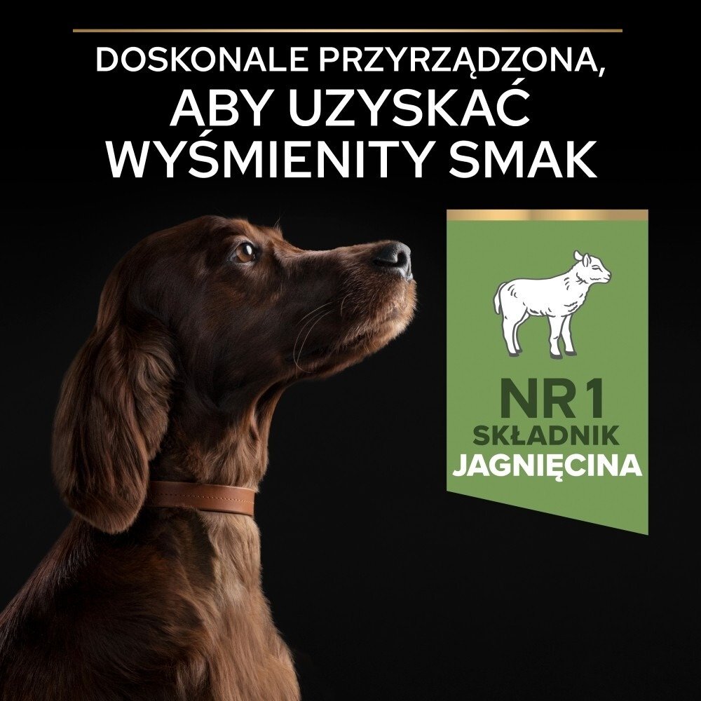 Karma dla psa Purina Pro Plan Sensitive Digestion Large Athletic Adult bogata w jagnięcinę 14 kg
