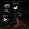 Karma dla psa Purina Pro Plan Sensitive Digestion Large Athletic Adult bogata w jagnięcinę 14 kg