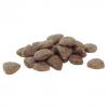 Karma dla psa Purina Pro Plan Sensitive Digestion Large Robust Adult bogata w jagnięcinę 14 kg