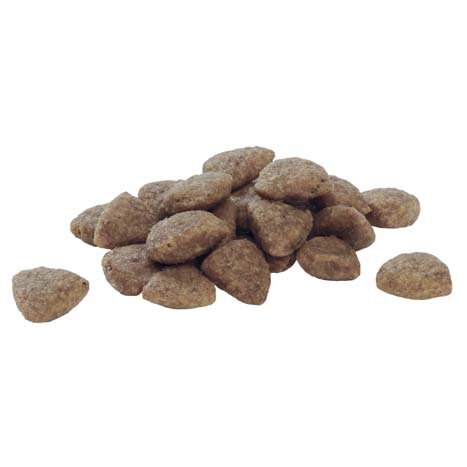 Karma dla psa Purina Pro Plan Sensitive Digestion Large Robust Adult bogata w jagnięcinę 14 kg