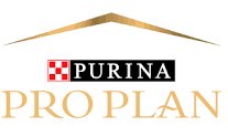 Karma dla psa Purina Pro Plan Sensitive Digestion Large Robust Adult bogata w jagnięcinę 14 kg