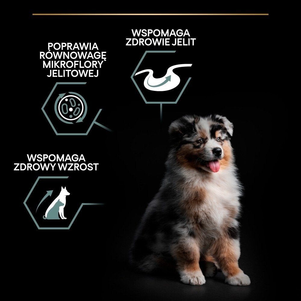 Karma dla psa Purina Pro Plan Sensitive Digestion Puppy bogata w jagnięcinę 12 kg