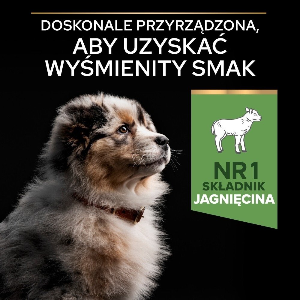 Karma dla psa Purina Pro Plan Sensitive Digestion Puppy bogata w jagnięcinę 12 kg