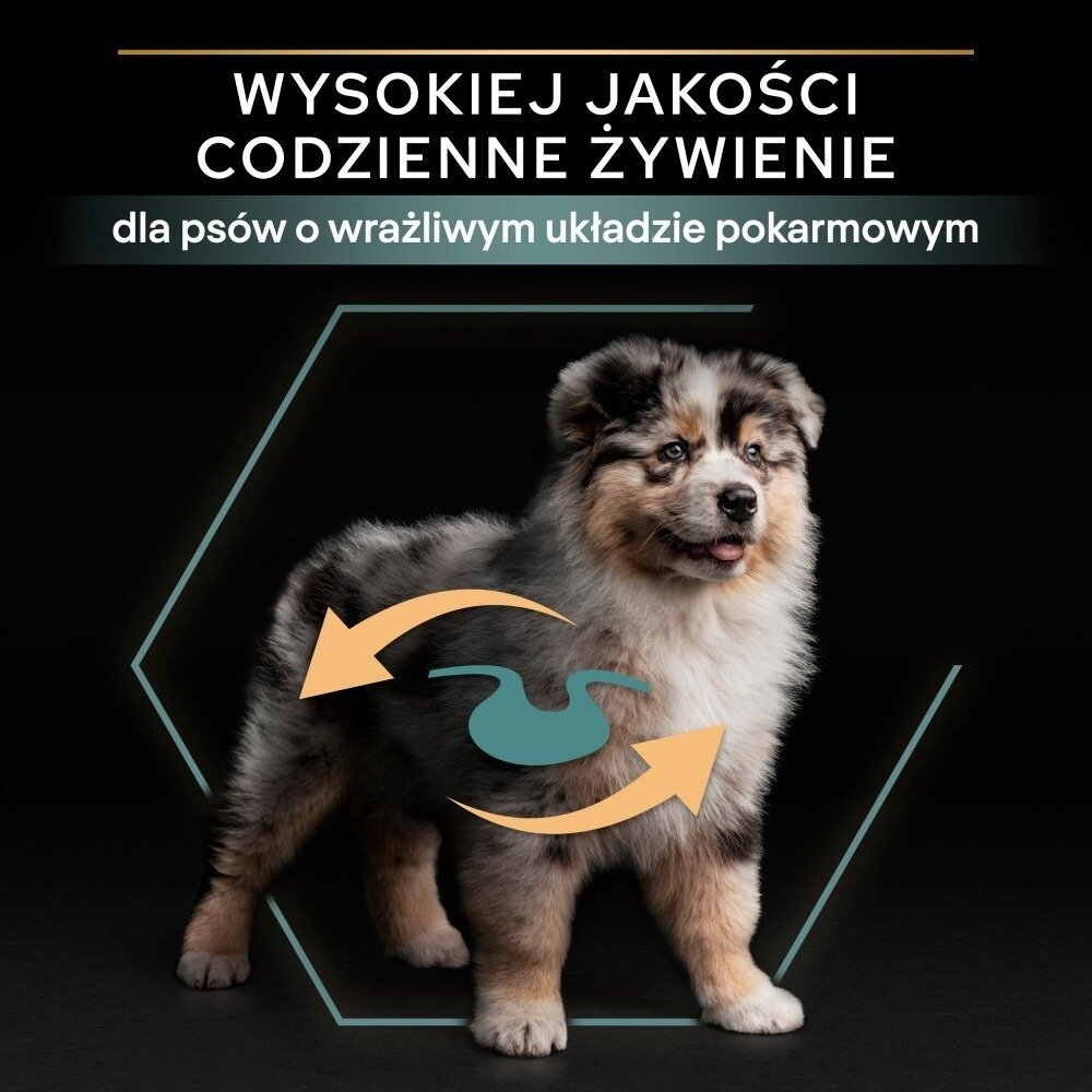 Karma dla psa Purina Pro Plan Sensitive Digestion Puppy bogata w jagnięcinę 12 kg