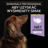 Karma dla psa Purina Pro Plan Sensitive Digestion Small & Mini Adult bogata w indyka 7 kg