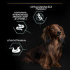 Karma dla psa Purina Pro Plan Sensitive Digestion Small & Mini Adult bogata w indyka 7 kg