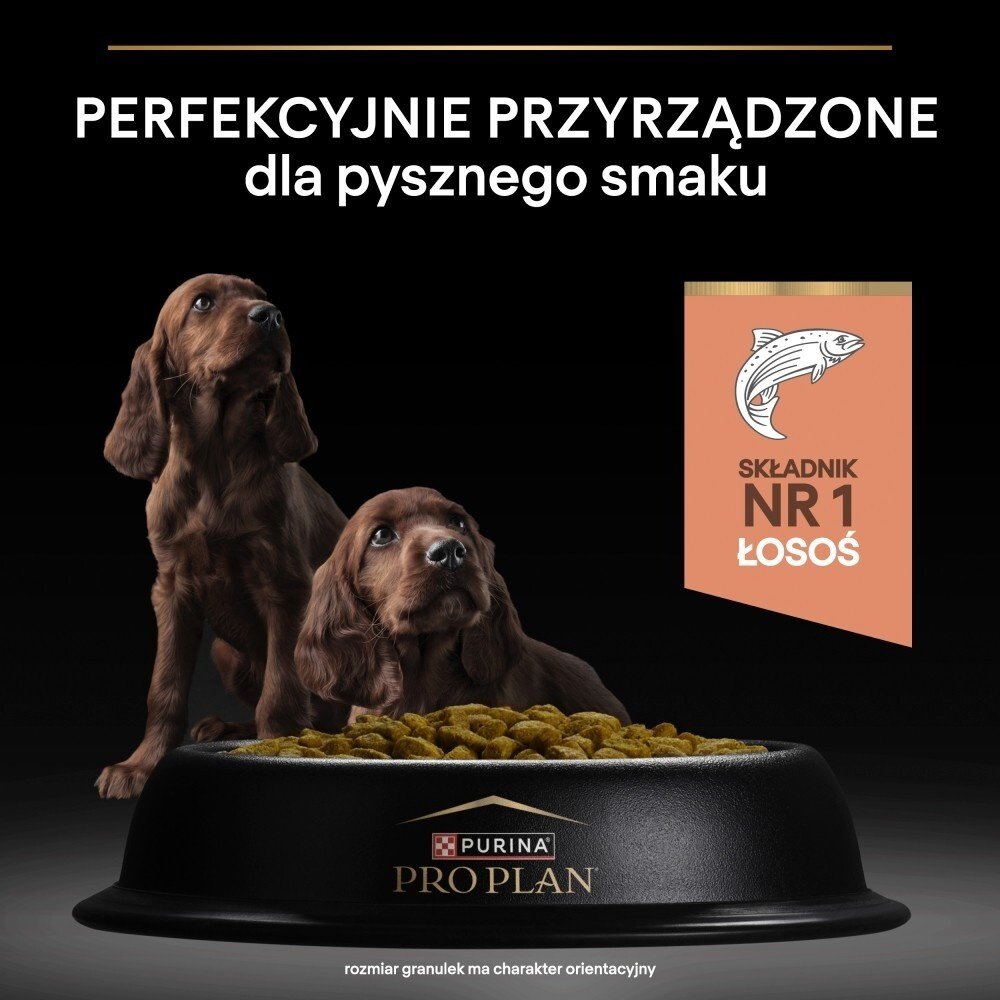 Karma dla psa Purina Pro Plan Sensitive Skin Large Athletic Puppy bogata w łososia 12 kg