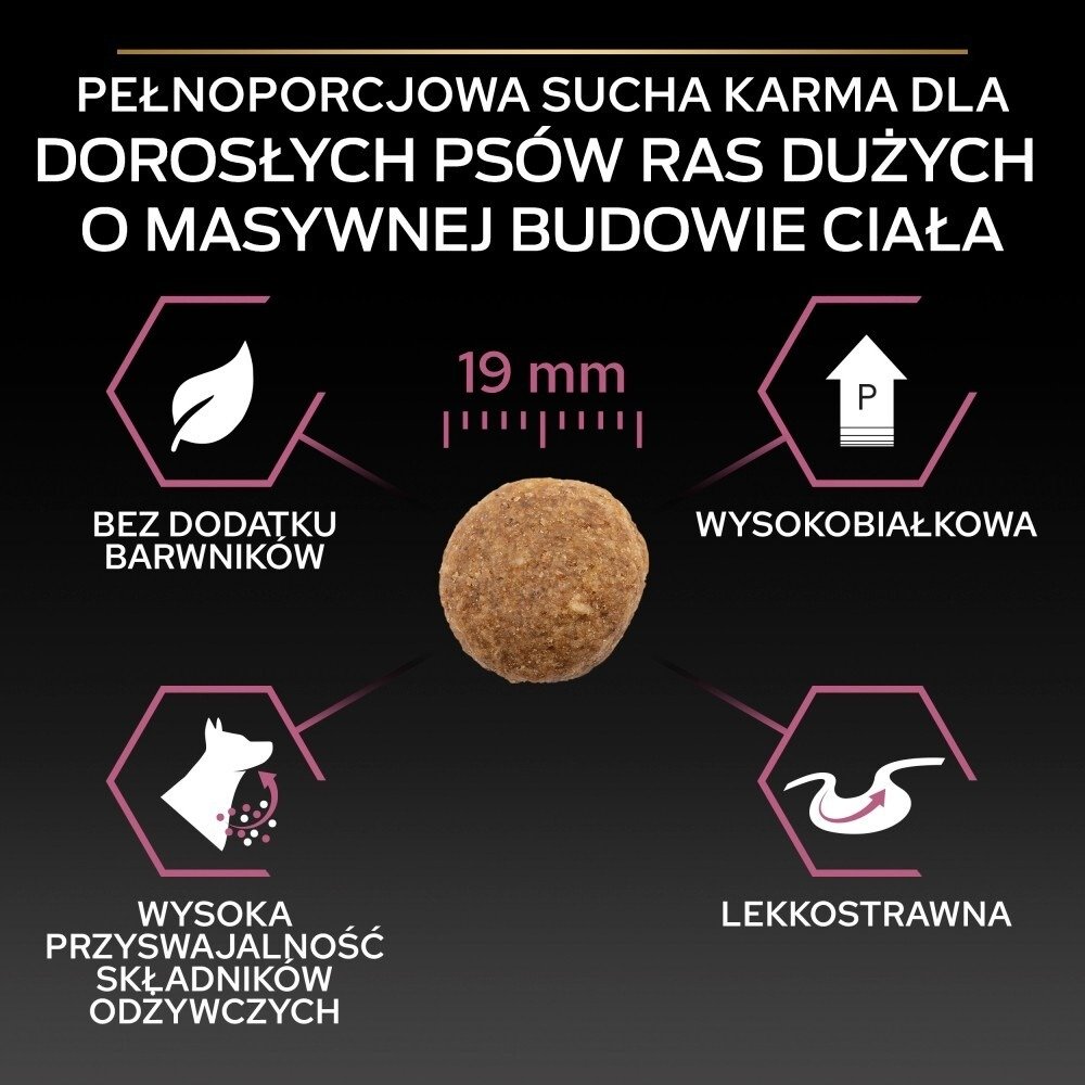 Karma dla psa Purina Pro  Plan Sensitive Skin Large Robust Adult bogata w łososia 14 kg