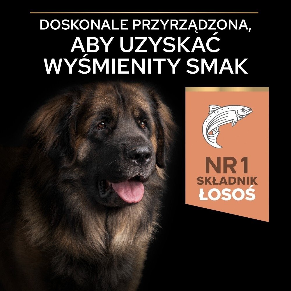 Karma dla psa Purina Pro  Plan Sensitive Skin Large Robust Adult bogata w łososia 14 kg