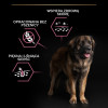 Karma dla psa Purina Pro  Plan Sensitive Skin Large Robust Adult bogata w łososia 14 kg