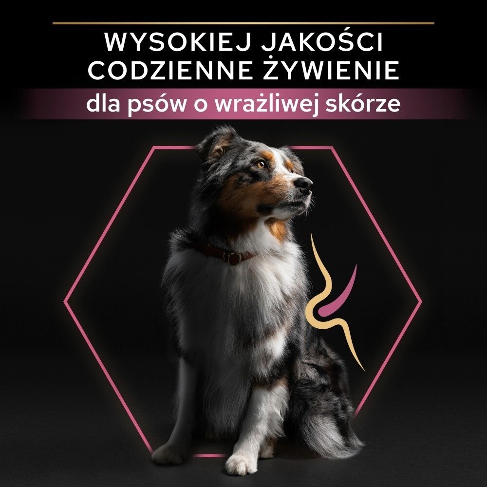 Karma dla psa Purina Pro Plan Sensitive Skin Medium Adult  bogata w łososia 14 kg