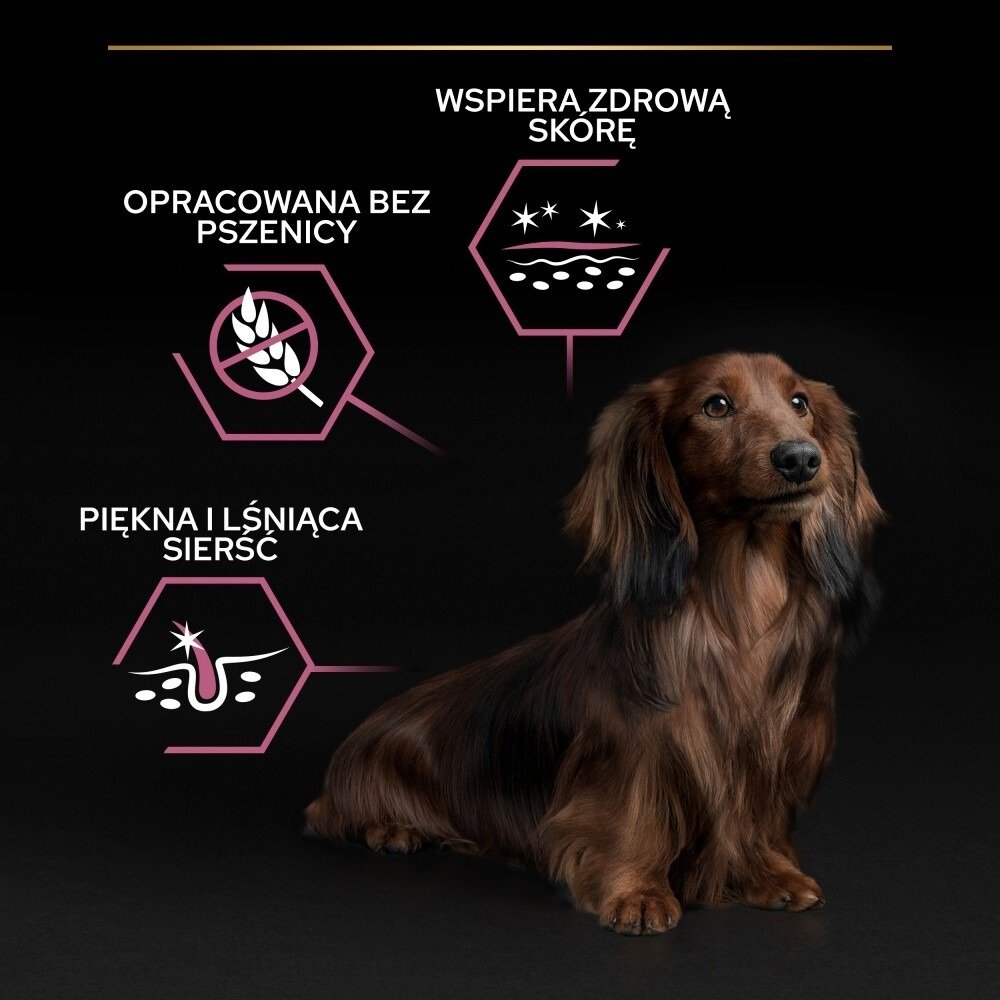 Karma dla psa Purina Pro Plan Small & Mini Sensitive Skin Adult z łososiem 7 kg